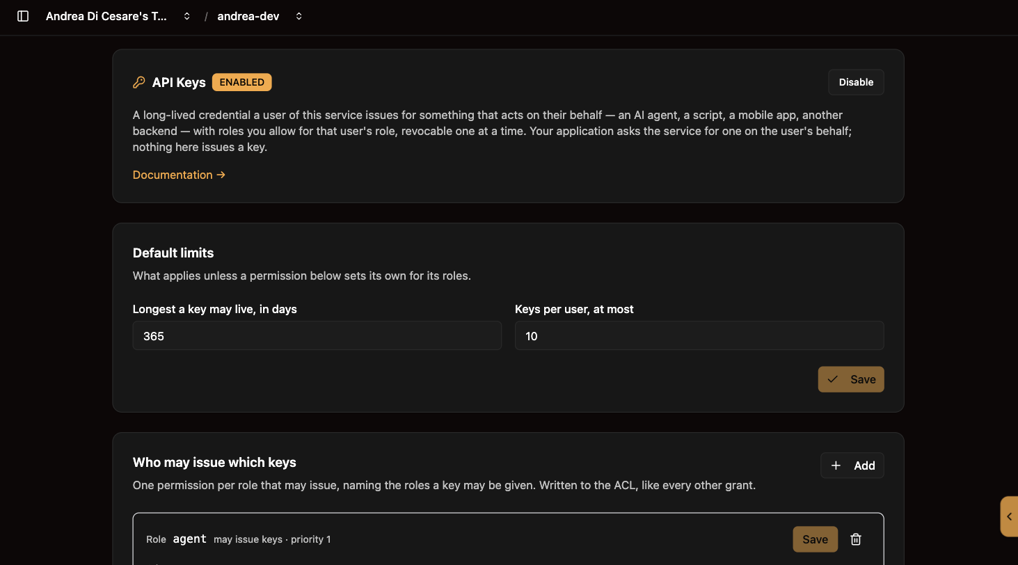 The API Keys page: the feature enabled