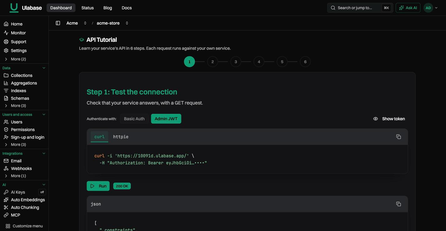 The interactive API tutorial in the console