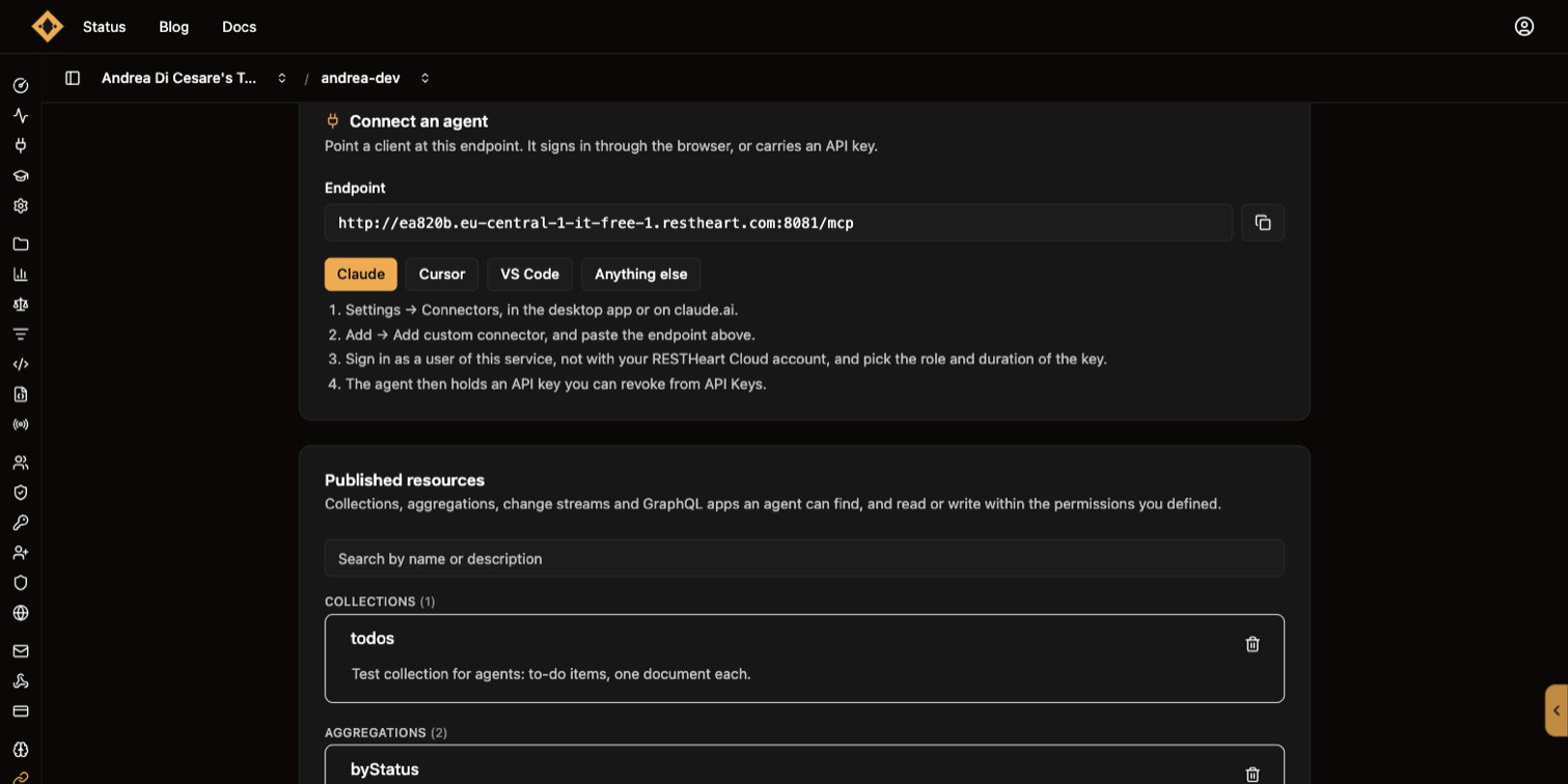 The MCP page: the endpoint and the steps to connect a client, above the published resources grouped by type